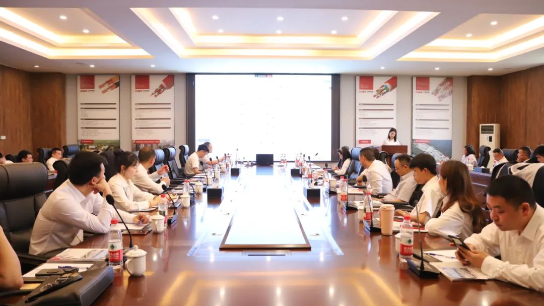 Three Gorges Information | Our company's first-quarter sales summary meeting was successfully held