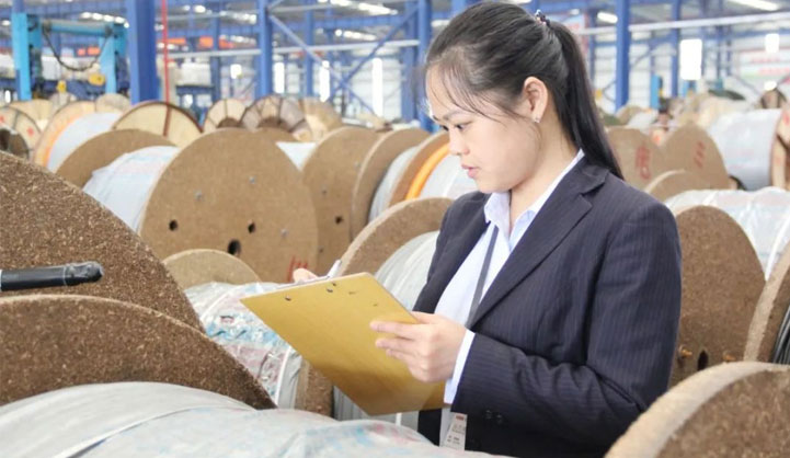 利析秋毫、算無遺策——白巧玲