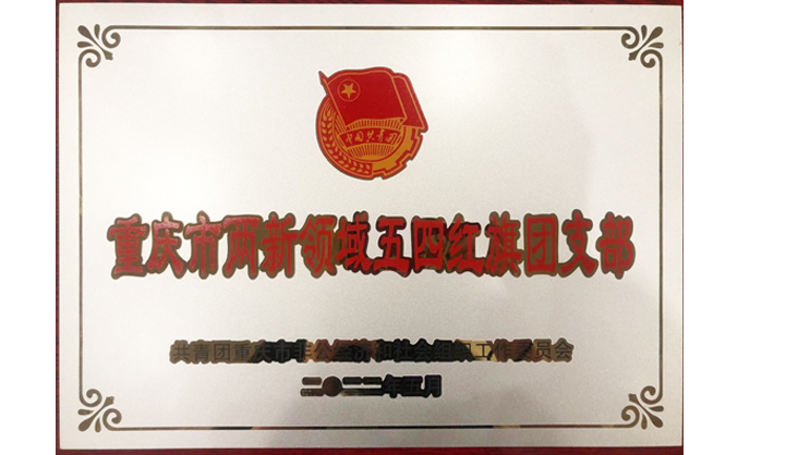 三峽電纜團支部榮獲2022年“重慶市兩新領(lǐng)域五四紅旗團支部”稱號