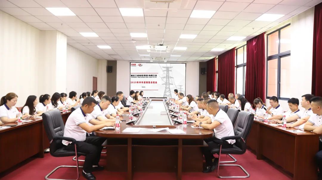 Three Gorges News: Our company's 2025 Mid-year Sales Summary Meeting and Wangbian Electric's friendship team-building Activity were successfully held