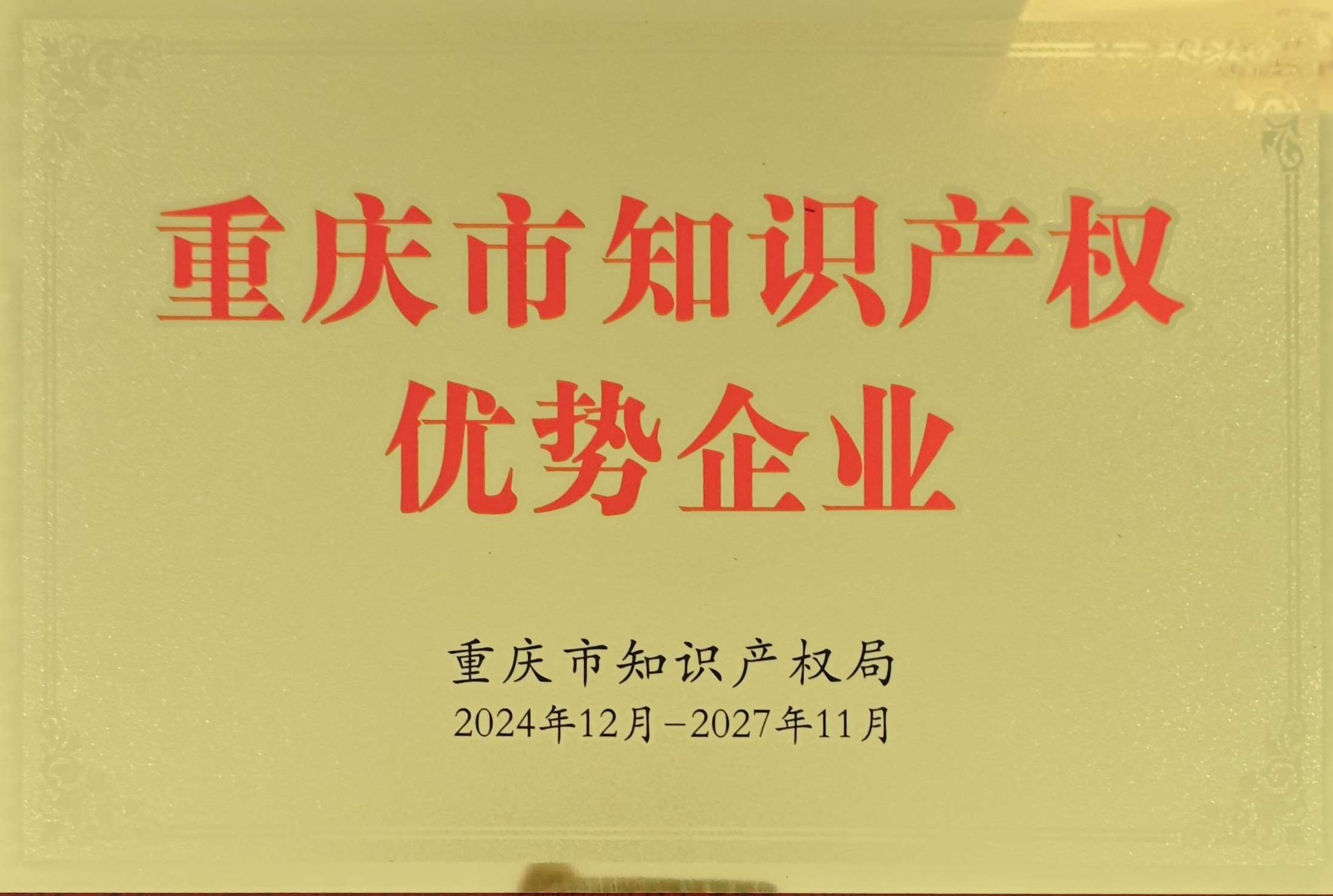 重慶市知識(shí)產(chǎn)權(quán)優(yōu)勢(shì)企業(yè)