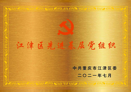 Advance Grass-roots Party Organization in Jiangjin District