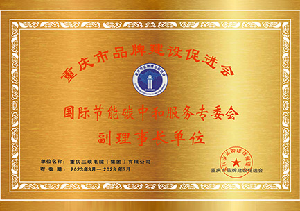 國(guó)際節(jié)能碳中和服務(wù)專委會(huì)副理事長(zhǎng)單位