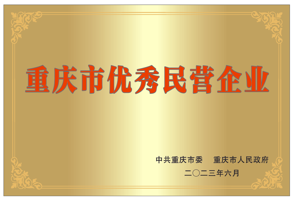 Three Gorges Technology Awarded ‘Chongqing Outstanding Private Enterprise’